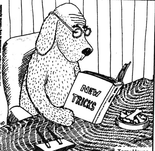 dog reading book